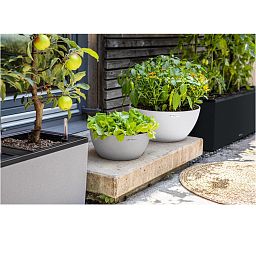 LECHUZA CUBETO COLOR Round Stone Look Poly Resin Self-watering Planter