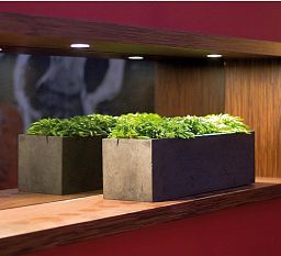 Trough Polystone Planter by Fleur Ami