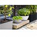 LECHUZA CUBETO COLOR Round Stone Look Poly Resin Self-watering Planter
