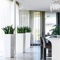 LECHUZA CUBICO ALTO Square Tall Poly Resin Self-watering Planter