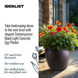 IDEALIST Lite Contemporary Light Concrete Egg Planter