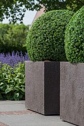 Fibrestone Jumbo Sundried Square Planter by Idealist Premium