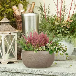 IDEALIST Lite Mesh Style Bowl Planter Outdoor Plant Pot