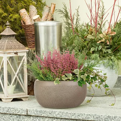 IDEALIST Lite Mesh Style Bowl Planter Outdoor Plant Pot