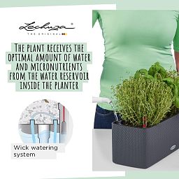 LECHUZA CUBE Color Triple Trough Poly Resin Self-watering Planter