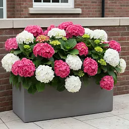 IDEALIST Lite Contemporary Light Concrete High Trough Planter Set