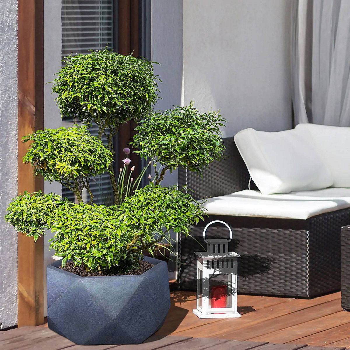IDEALIST Lite Faceted Effect Bowl Planter Indoor Plant Pot