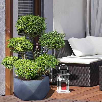 IDEALIST Lite Faceted Effect Bowl Planter Indoor Plant Pot
