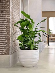 Polystone Ribbed Planter | Indoor and Outdoor Plant Pot
