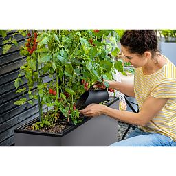 LECHUZA TRIO Stone Trough Poly Resin Self-watering Planter