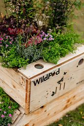 WildPod 2-in-1 Outdoor Planter and Wildlife House with Topsoil and Reservoir Clay by Bio Scapes