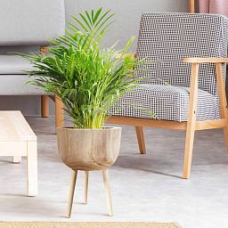 HORTICO GAIA Wooden House Planter with Legs, Tall Indoor Plant Pot Stand with Waterproof Liner