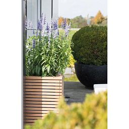 Modulo Pedestal Natural Teak Square Tall Polystone Indoor Planter