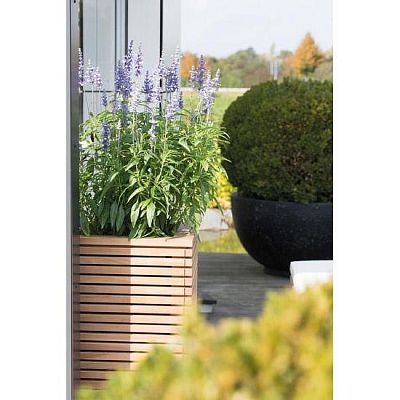 Modulo Pedestal Natural Teak Square Tall Polystone Indoor Planter