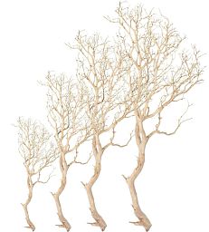 Manzanita Sand Blasted Branchy Artificial Branch
