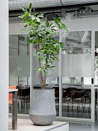 Polystone Planter | Tapered Round Indoor and Outdoor Plant Pot 
