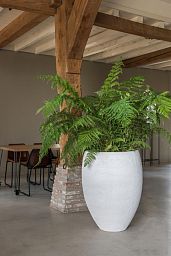 Fibrestone Bond Round Planter by Idealist Premium