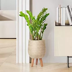 IDEALIST Lite Plaited Style Egg Planter on Legs, Round Pot Plant Stand Indoor