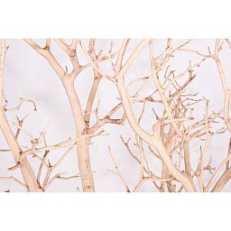 Manzanita Sand Blasted Branchy Artificial Branch