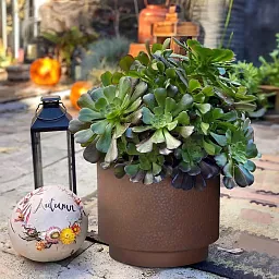 IDEALIST Lite Hammered Stone Cylinder Outdoor Planter