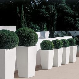 LECHUZA CUBICO Tall Poly Resin Planter Only