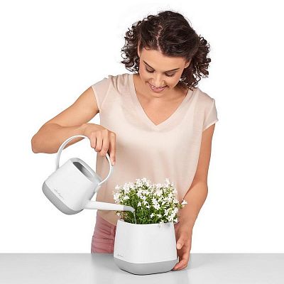 LECHUZA YULA Square Poly Resin Indoor Self-watering Planter