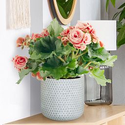 IDEALIST Lite Honeycomb Style Table and Hanging Cylinder Round Plant Pot Dual Use Indoor Planter