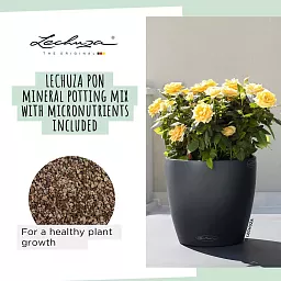 LECHUZA CLASSICO Color Round Poly Resin Self-watering Planter