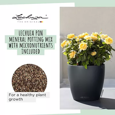 LECHUZA CLASSICO Color Round Poly Resin Self-watering Planter