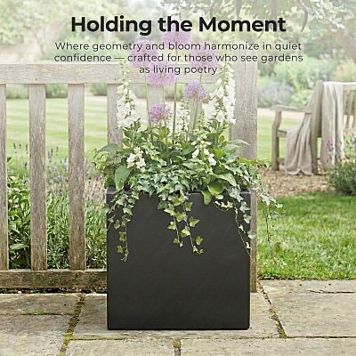 IDEALIST Lite Square Box Contemporary Light Concrete Planter Set