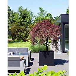 Fibrestone Jumbo Square Planter by Idealist Premium