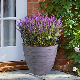 IDEALIST Lite Row Light Concrete Egg Planter