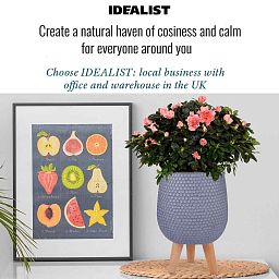 IDEALIST Lite Honeycomb Style Egg Planter on Legs, Round Pot Plant Stand Indoor