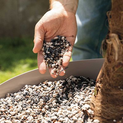 LECHUZA PALMPON Potting Soil Compost for Palms and Mediterranean Plants Potting Mix