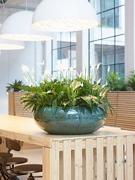Ceramic Bowl Lined Glossy Planter Pot In/Out
