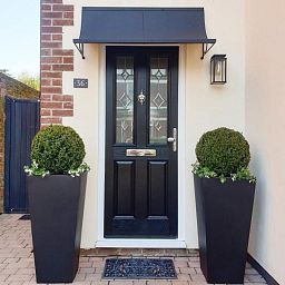 Photogenic Boxwood Buxus standard - MONO BALL, Box standard (Buxus sempervirens)