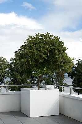 Square Fiberstone Planter by Idealist Premium JUMBO Glossy