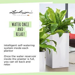 LECHUZA CANTO High Square Tall Poly Resin Self-watering Planter