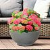 IDEALIST Lite Dish Style Smooth Bowl Outdoor Planter