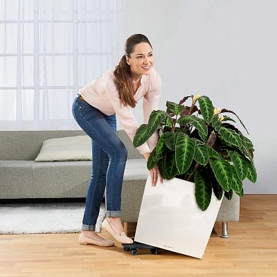 LECHUZA CUBE Square Poly Resin Planter Only