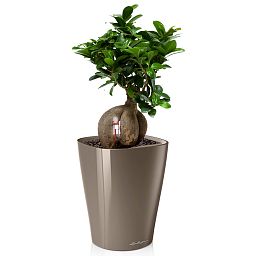LECHUZA DELTINI|MINI-DELTINI Round Poly Resin Indoor Self-watering Planter