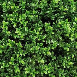 BUXUS BALL Artificial Tree Plant