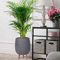 IDEALIST Lite Honeycomb Style Egg Planter on Legs, Round Pot Plant Stand Indoor