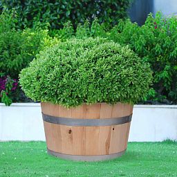 Rustic European Birch Hardwood Round Tub Half Barrel Outdoor Planter Made in UK by HORTICO