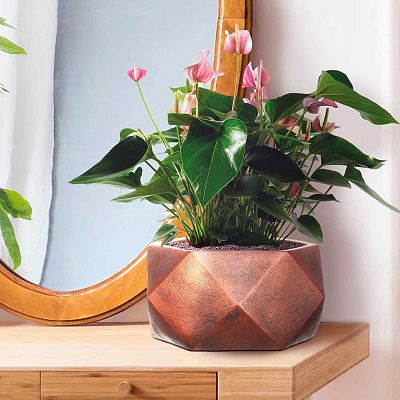 IDEALIST Lite Faceted Effect Bronze Bowl Planter Indoor Plant Pot