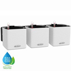 LECHUZA Green Wall Home Kit Color Indoor Self-watering Planter