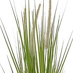 Dogtail with Pot Artificial Grass Plant