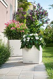 LECHUZA CUBE Cottage Square Poly Resin Self-watering Planter