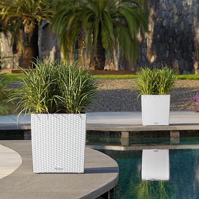 LECHUZA CUBE Cottage Square Poly Resin Self-watering Planter