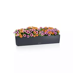 LECHUZA BALCONERA Color Trough Poly Resin Self-watering Planter